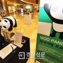 스페셜 몰 경향신문