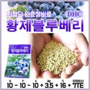 대환농장 | 블루베리체험 대환농장 딸기체험 끝! 블루베리농장체험 비용 예약 위치 후기