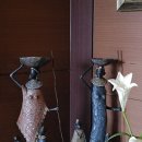 공지천 에디오피아 이미지