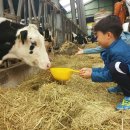 금와농장 이미지