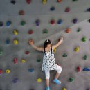 점핑스파이더 운정 이미지