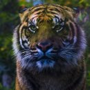 방주동물병원 이미지