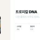 플래쉬컴퍼니 이미지
