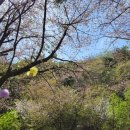 산안2리마을 네이버블로그