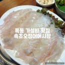 보굴 | 목동 가성비 횟집 속초오징어어시장 내돈내산 광어 매운탕 사리무한리필