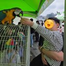 우주환경 | [광주 과학관 체험 후기] 아이와 함께한 2025 사이언스 봄축제 &amp; 우주과학특별전, 환경뮤지컬까지!