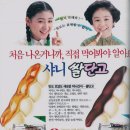 샤니 쌀단고 이미지