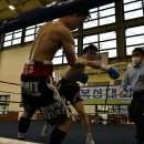 검단 팀타이거 복싱짐 이미지