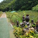 용암1농장 이미지