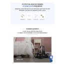 정직한 청년