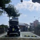 세화수목 이미지