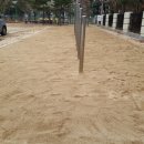 대구대천초등학교 이미지