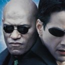 공감안경 이미지