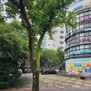 화정초교 이미지