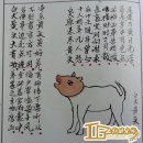중국의 개 관상 책(상견대전) 이미지
