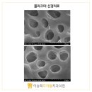 이젠(EZEN) 이미지