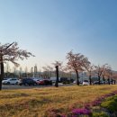 양평칼국수교동점 이미지