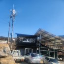 왕조식당 | 순천 맛집 추천 왕조 가든 닭구이 닭육회 메뉴 후기