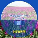 해드림공인중개사사무소 이미지