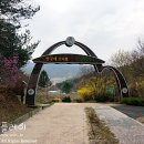 냉천골약수터 이미지