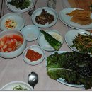 청둥오리랑닭이랑