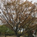 남해한식부페 이미지