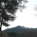 이천서씨 열녀비(利川徐氏 烈女碑) 이미지