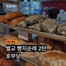호부당 | [벌교] 호부당 - 벌교 빵맛집 2탄 바작한 크랙소금빵 솔직 리뷰