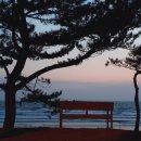 해송향기펜션 이미지