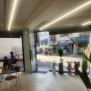 오델리스 이미지