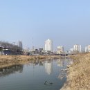 호동초등학교 앞 (롯데슈퍼~호원병원) | (230304/의정부) 의정부센트럴자이&amp;위브캐슬, 탑석센트럴자이, 의정부경전철 임장후기