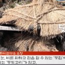 돗집 이미지