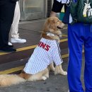 보미저수지 | 8월