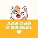 AI기반 디지털 콘텐츠,스마트오피스 전문가 양성과정 수강후기