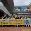 화천초등학교 이미지