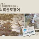 천일수산 네이버블로그