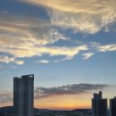 운동해야GYM 이미지