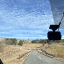 종로카&더좋은셀프존 | 벳푸 아프리칸사파리 렌트카 오픈런 3대 가족 여행 후기