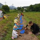 여자만마을 이미지