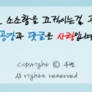 피자베이대정점 이미지
