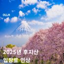 트립올라 이미지