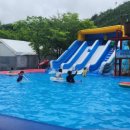 선사애견 이미지