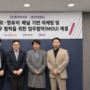 리서치