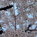 CU현대잠홍셀프점 | [막콘1] 방탄소년단 아리랑 고양 콘서트 막콘 사첵 후기 B4구역 시야