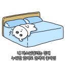 CU창원남양광천점 | 나의 일상 기록 (08.01 ~ 08.14)