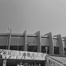 팀크레모아 이미지