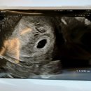동네부엌 강제점 | 임신 4주차, 5주차, 6주차 기록-절박유산 진단, 출산휴가 분할사용, 강제 휴식