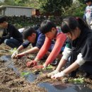 성읍초등학교 이미지