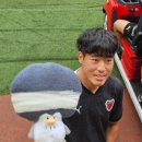 홍카이브