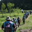 희망2길 이미지